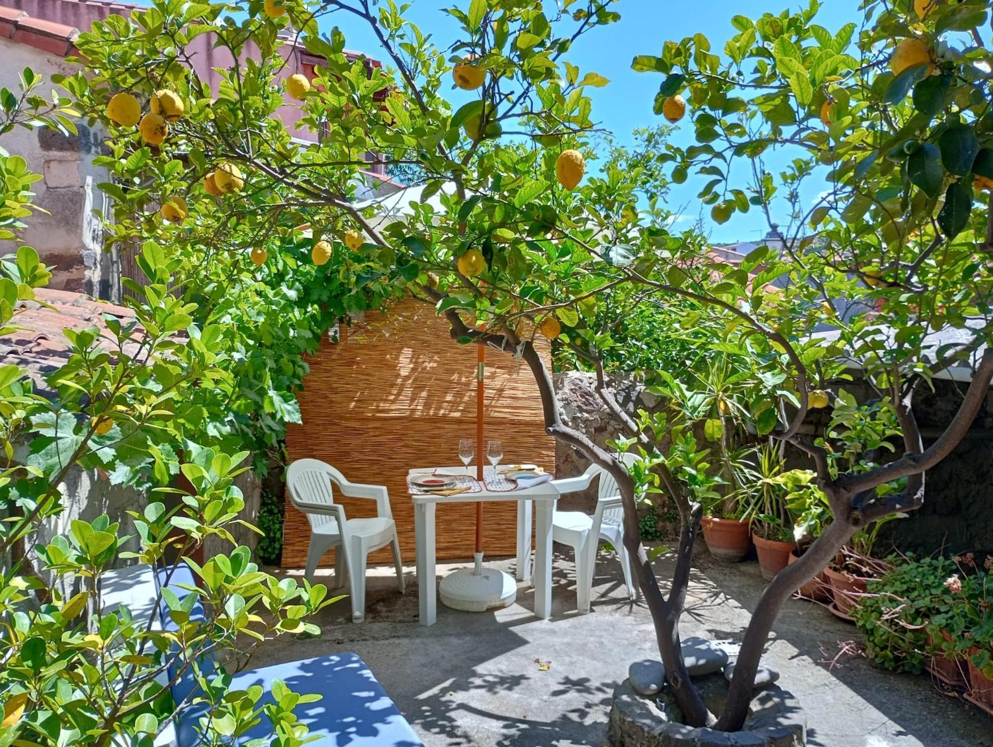 Casa Figus Via Azuni 5 Narboliaアパートメント エクステリア 写真